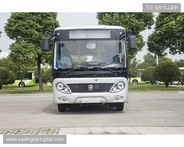 亚星官网111品牌历史与发展历程揭秘带您了解企业背后的故事