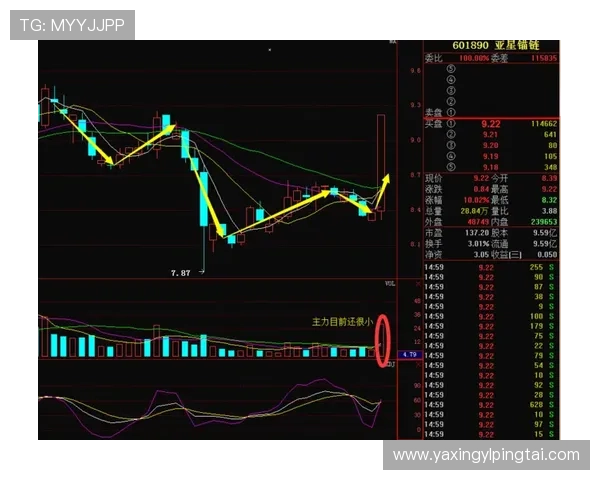 亚星官网平台：最新资讯与公告在亚星官方网站平台上的获取方式