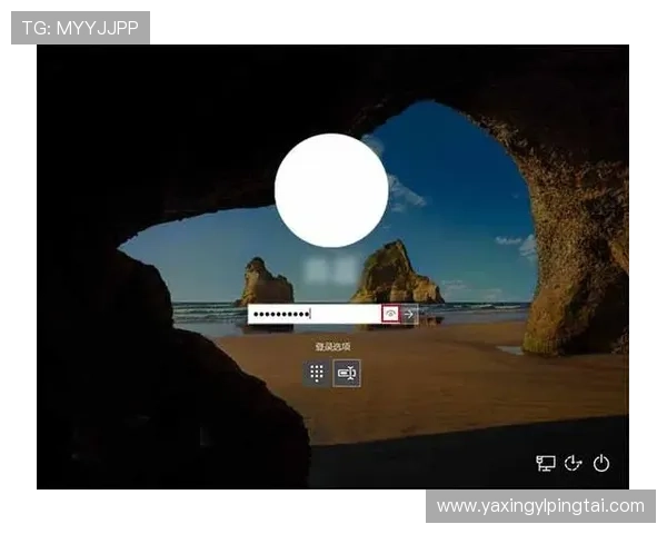 亚星手机登录网址官方入口，确保用户账号安全的登录方式